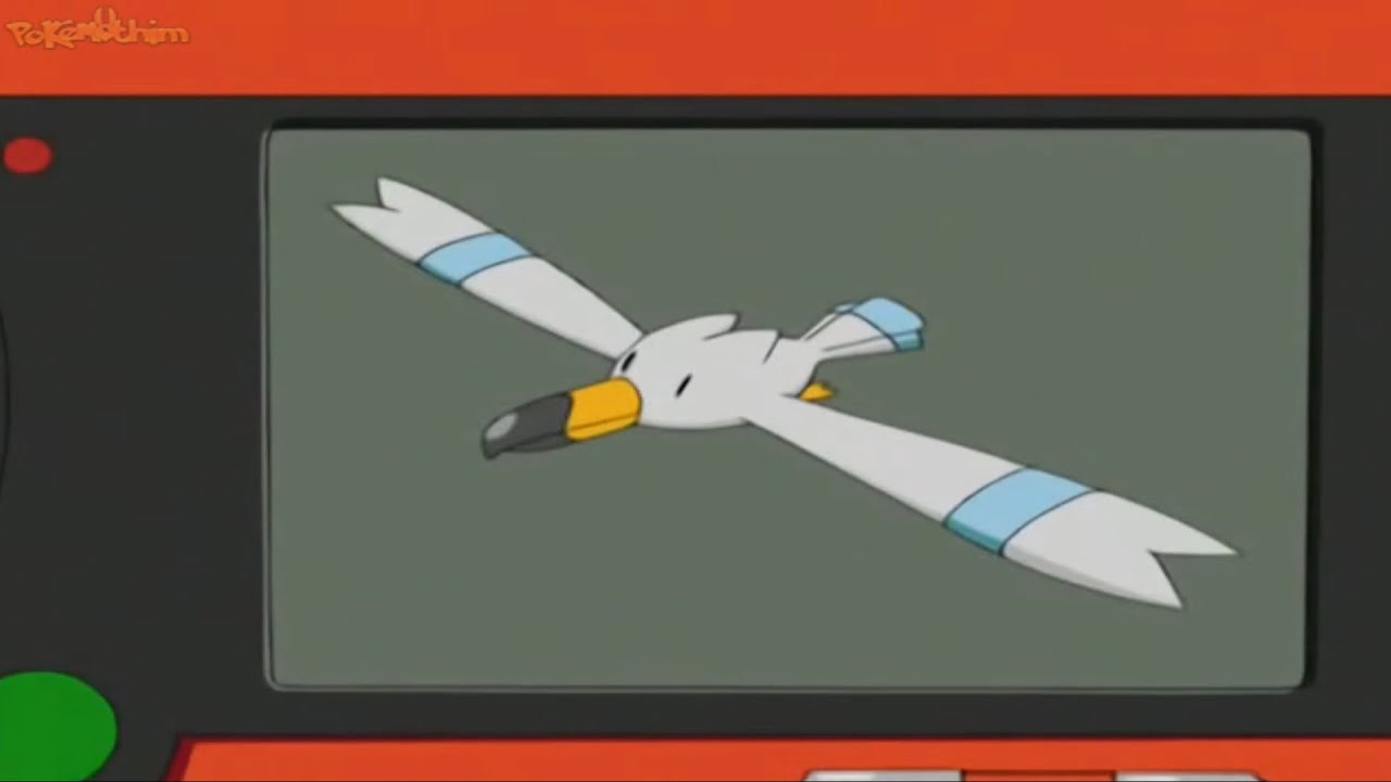 Pokedex #278 Wingull