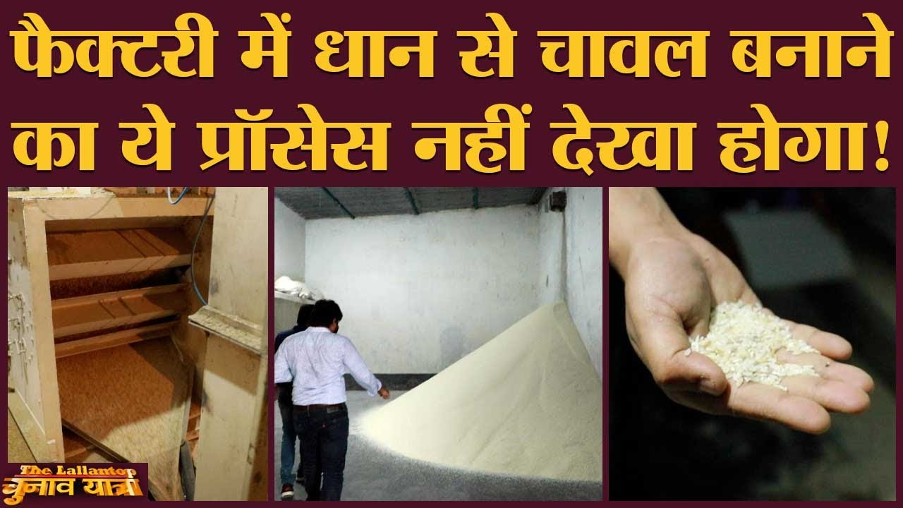 Rice Mill में चावल तैयार करते लोग Modi और Mamata में किसे Bengal जिता रहे?