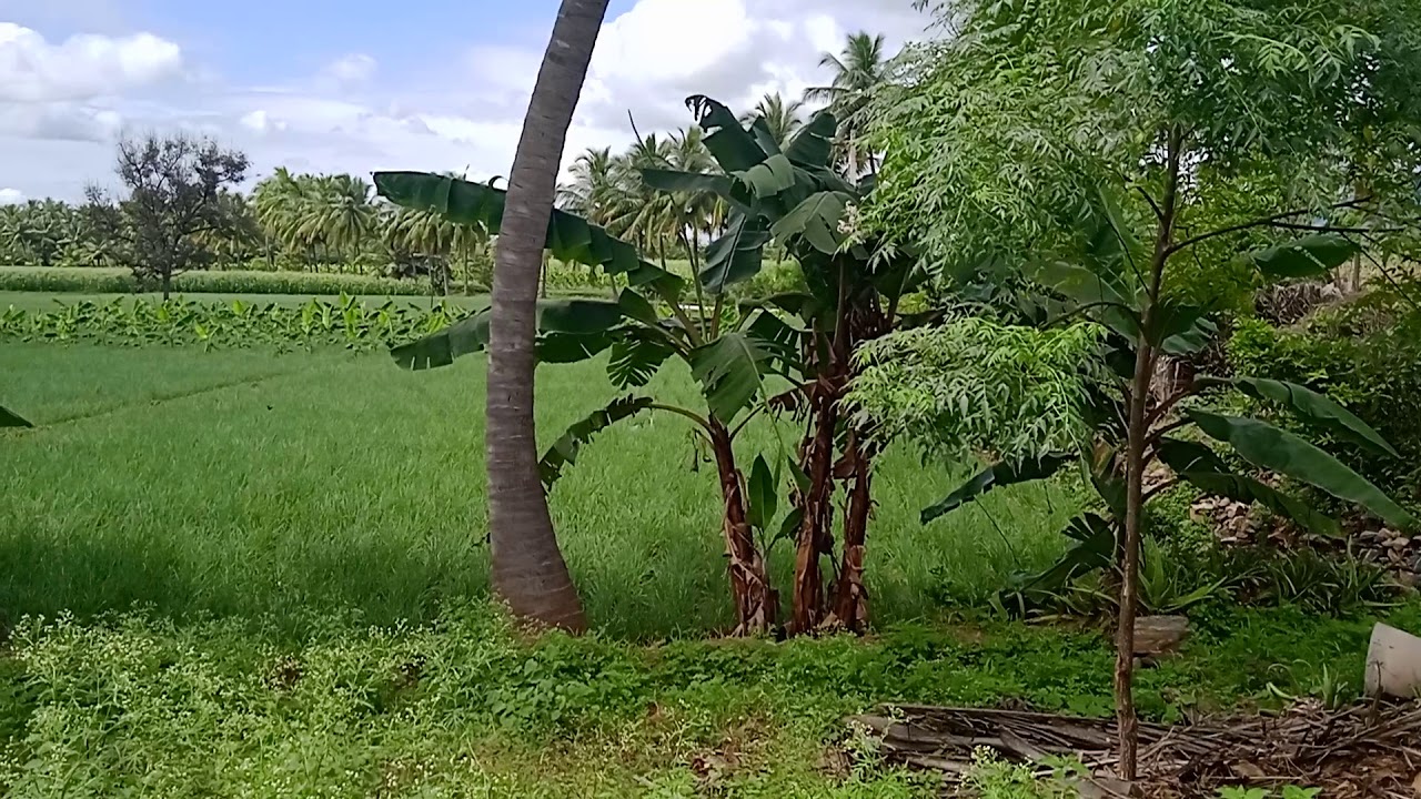 AGRI LAND
