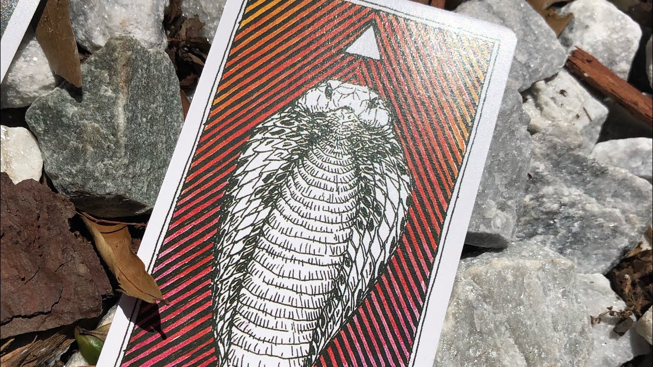 🐍 Cobra Spirit, this is Your 🔮 Reading &bull; May 2021 &bull; Animal Spirt Totems 🐍