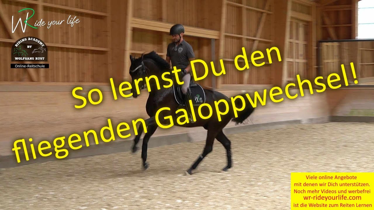 F169 Den fliegenden Galoppwechsel lernen; Übungen; Fehler; Vorbereitung zum fliegenden Galoppwechsel