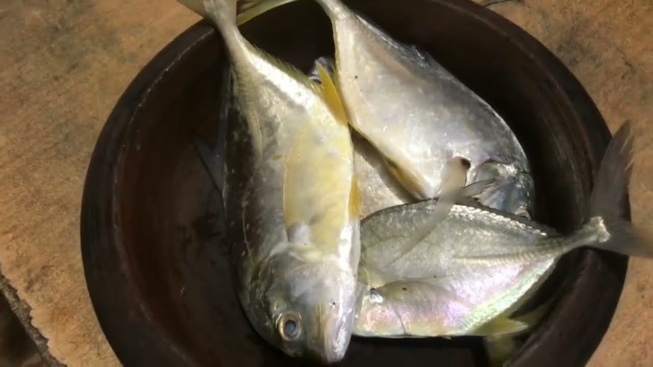 മീൻ കറിയും മഴയും ❤️