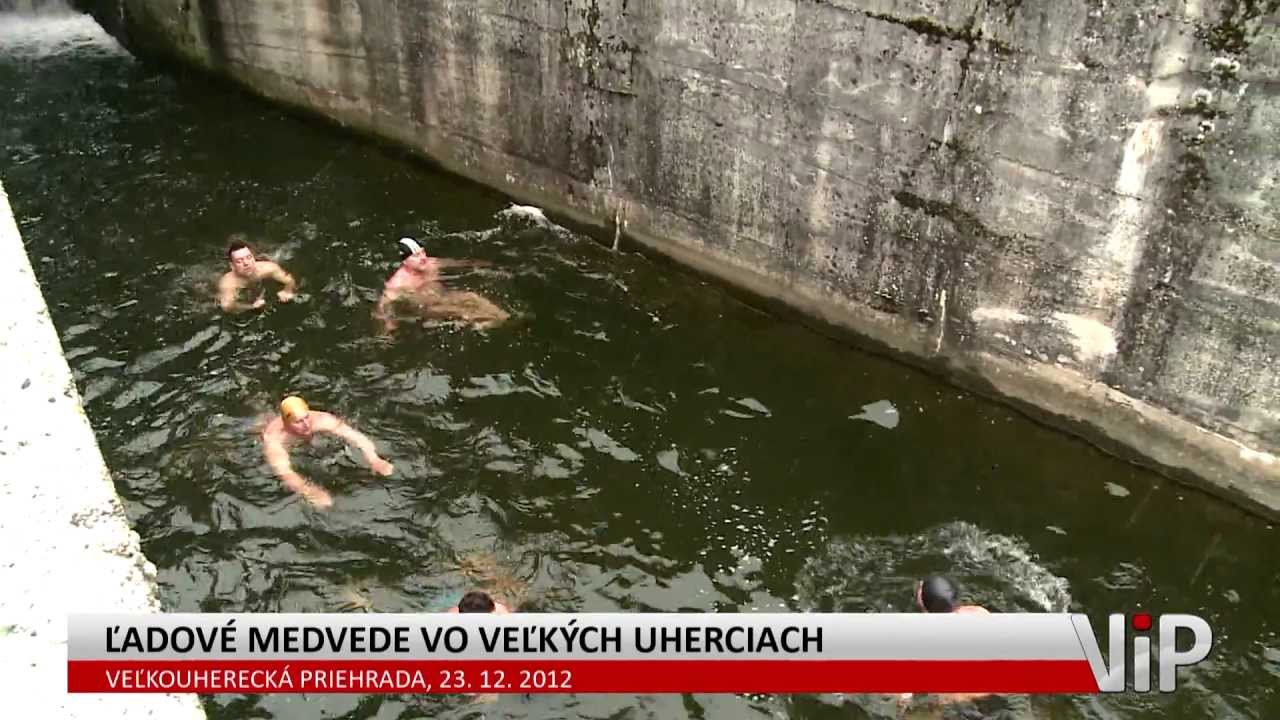 Ľadové medvede vo Veľkých Uherciach
