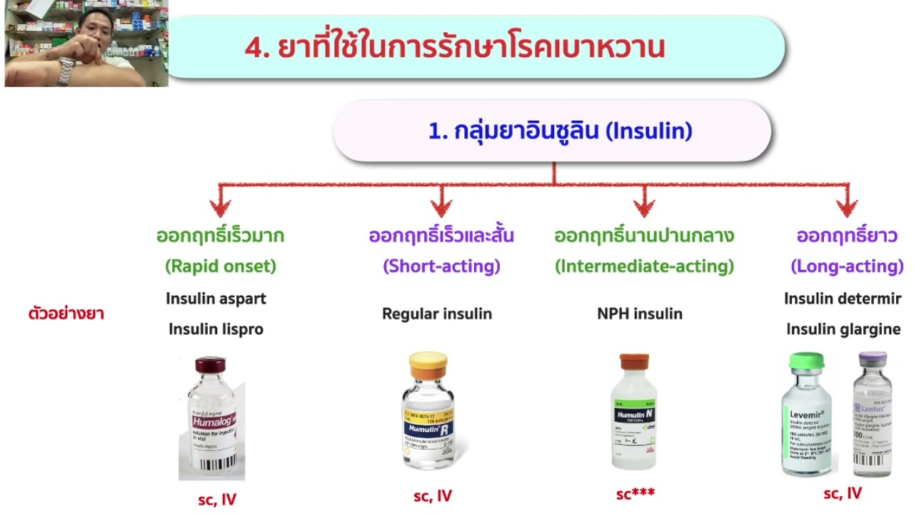 4_Diabetes Mellitus_ยากลุ่มอินซูลิน