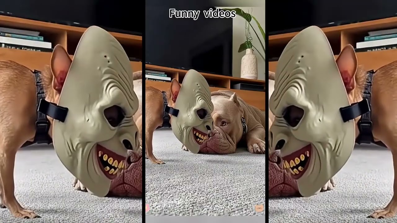 WHATSGOINGON MAN???
