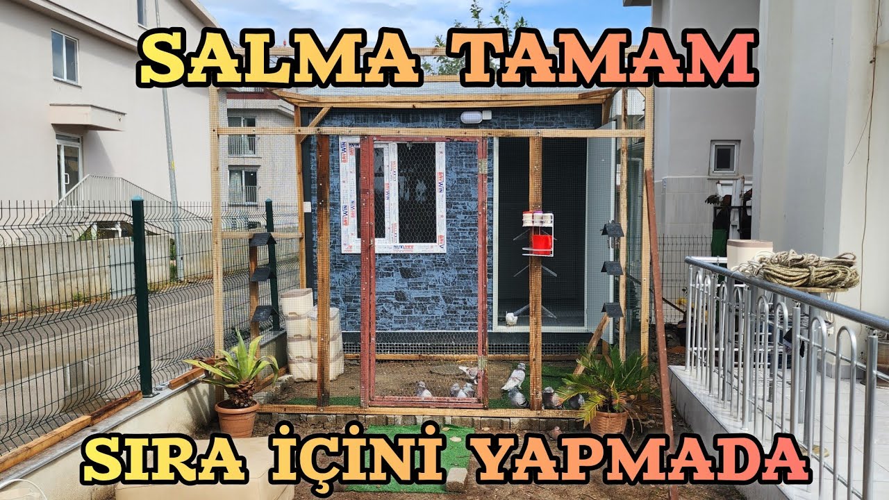 &Ccedil;ok Ş&uuml;k&uuml;r Yeni G&uuml;vercin K&uuml;mesimizin Salması Bitti 