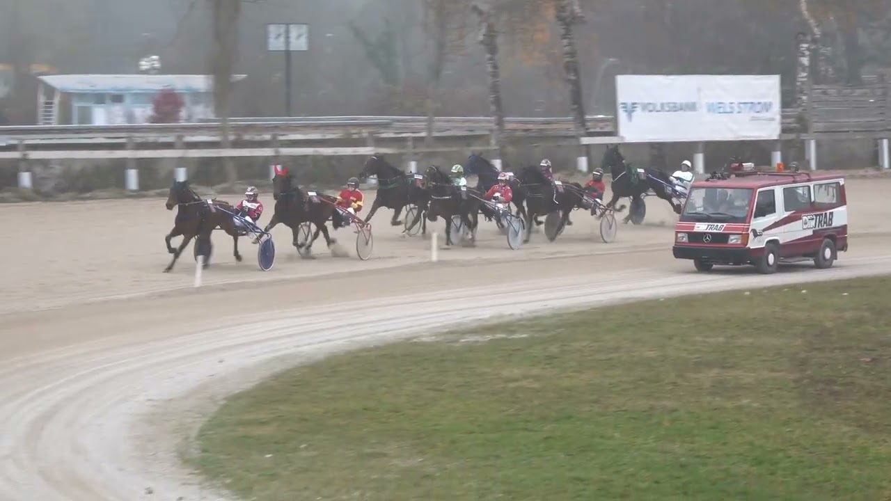 4.Rennen - 16.November 2025 - Welser Trabrennen