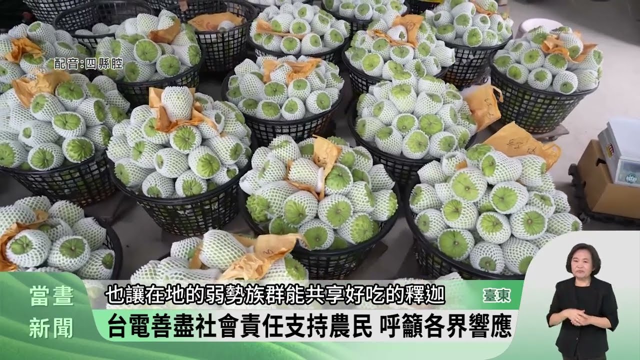 鳳梨釋迦外銷受挫 台電採購挺農民.做愛心【客家新聞20250225】