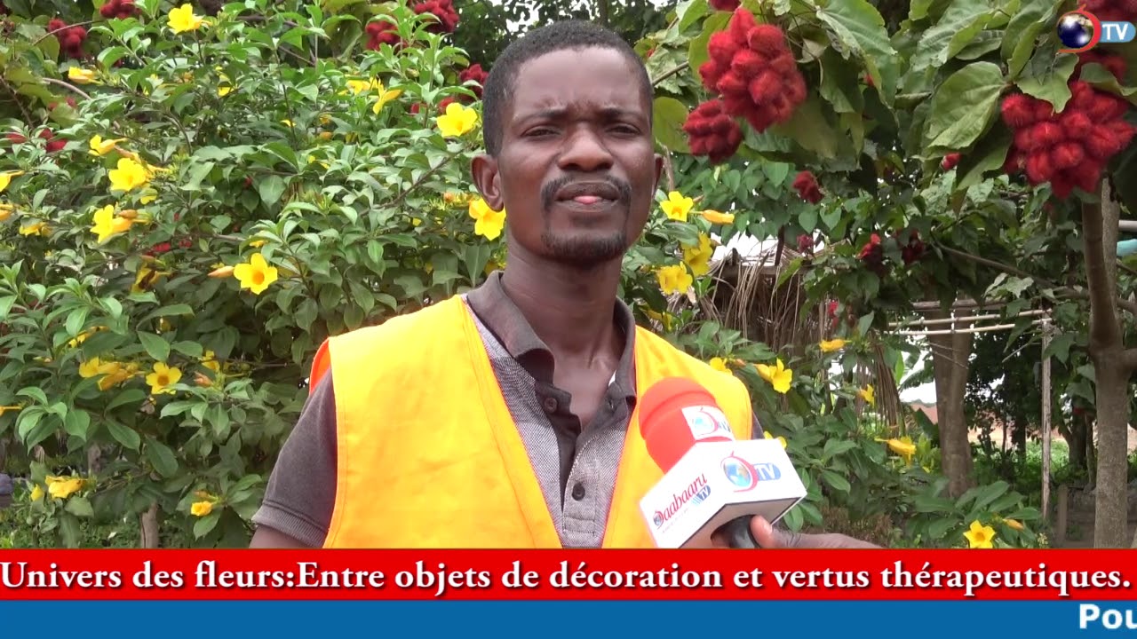 UNIVERS DES FLEURS:
Entre objets de décoration et vertus thérapeutiques