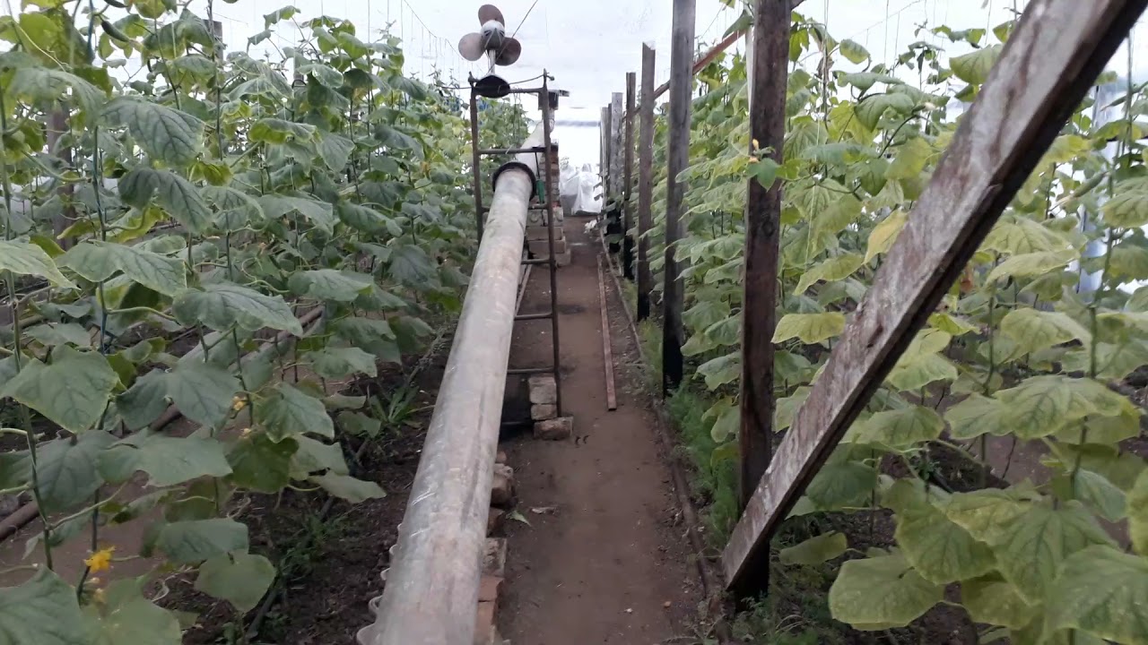 Отопление в зимней теплице+размеры теплицы дымоход в теплице