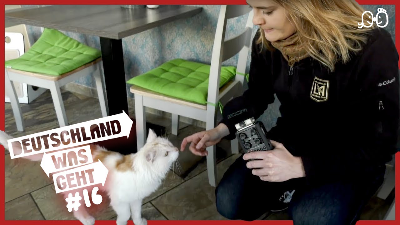 Deutschland Was Geht #16 | Katzencafé Leipzig