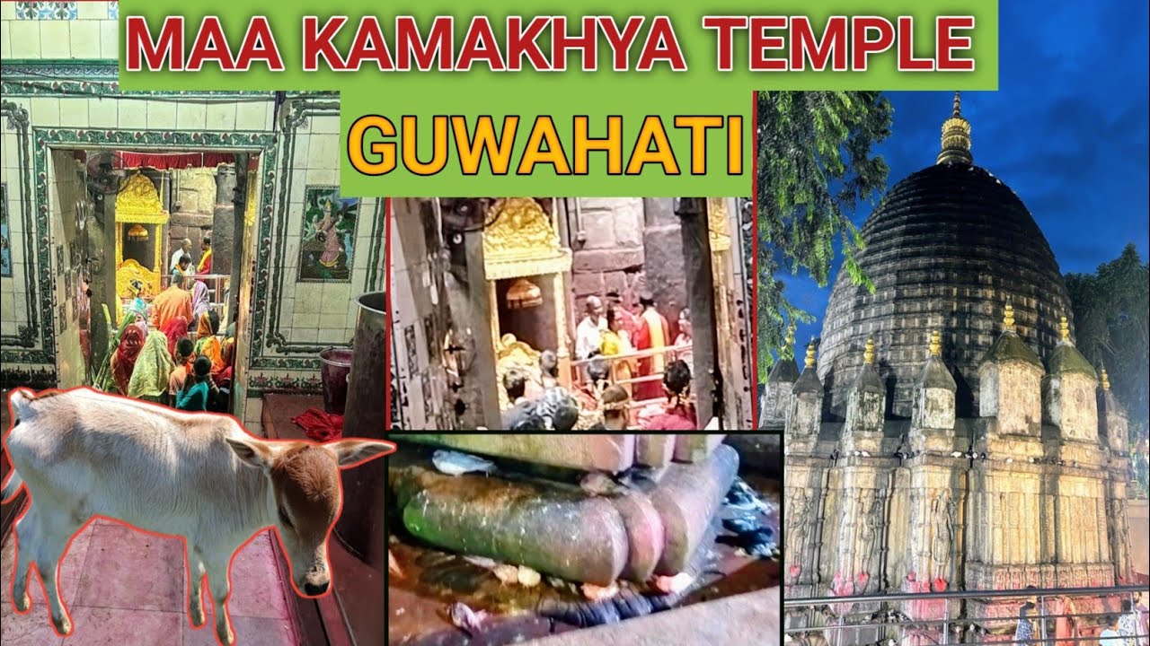 KAMAKHYA MANDIR DARSHAN 2024  | GUWAHATI KAMRUP TEMPLE | কামাক্ষা মায়ের মন্দির |