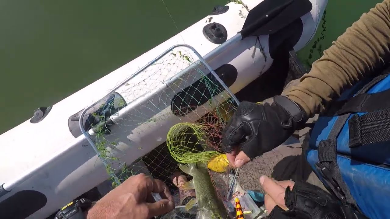 16.08.2022 kırıkkale köprüköy turna balığı avı (pike fishing)