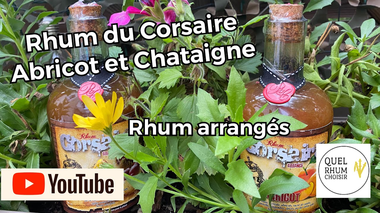 Rhum arrangé abricot et rhum arrangé châtaigne vidéo dégustation