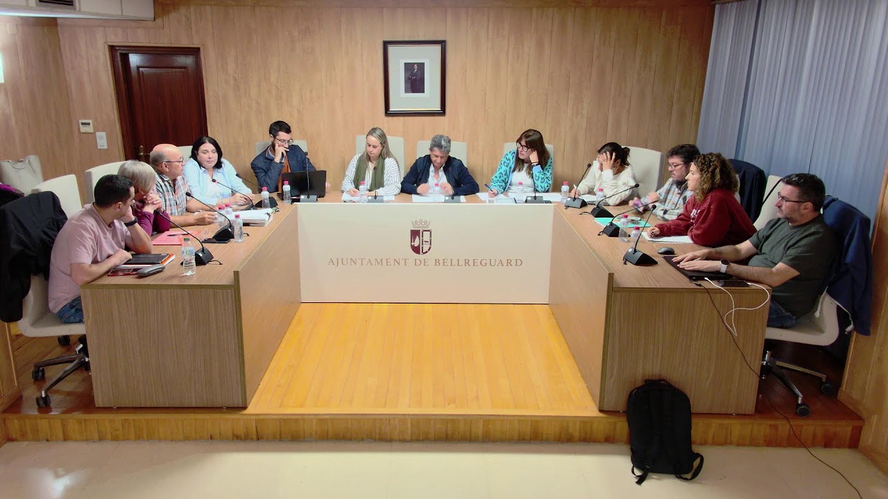 Ple Ordinari Novembre 12/11/2025