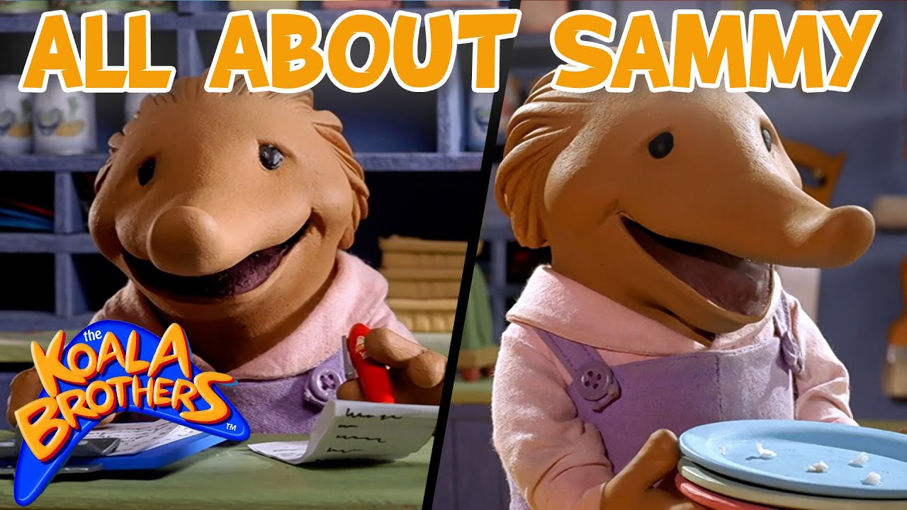 All About Sammy! 🦔❤️  | @KoalaBrothersTV   | 20+ Mins | Animation for Kids