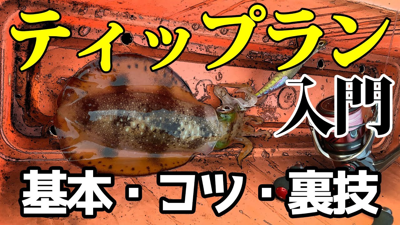 【ティップラン入門】初心者必見！これが出来たら絶対釣れます！