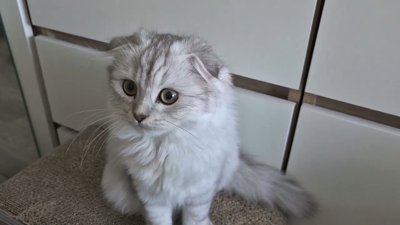 Сонное утро 😊