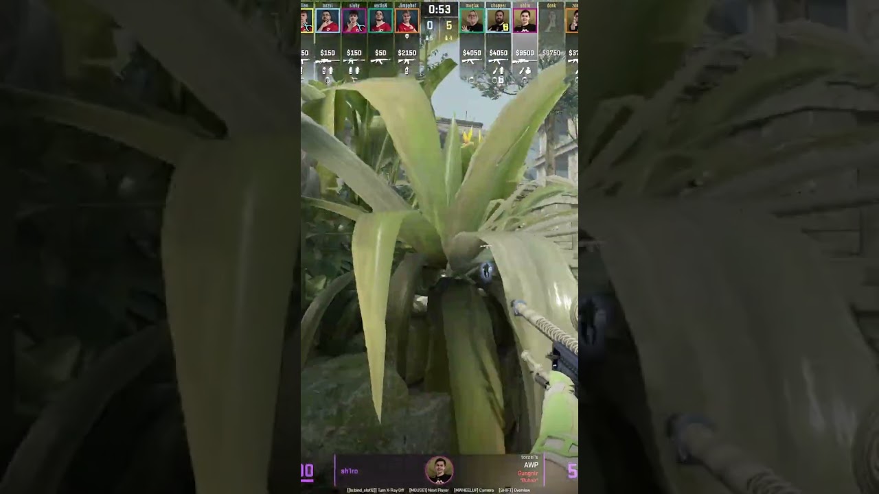 SH1RO ANCIENT CAVE SMOKE TO RUSH B