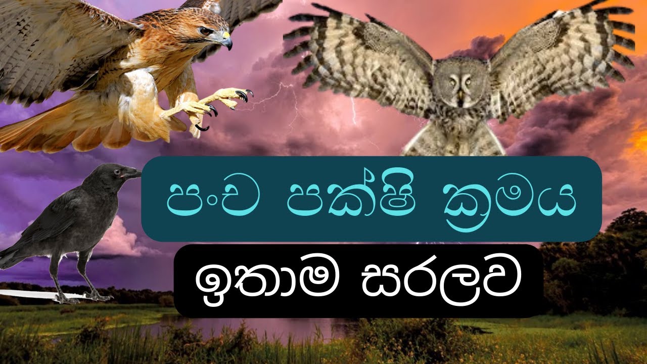 පංච පක්ෂී ශාස්ත්‍රය ඉතාම සරලව