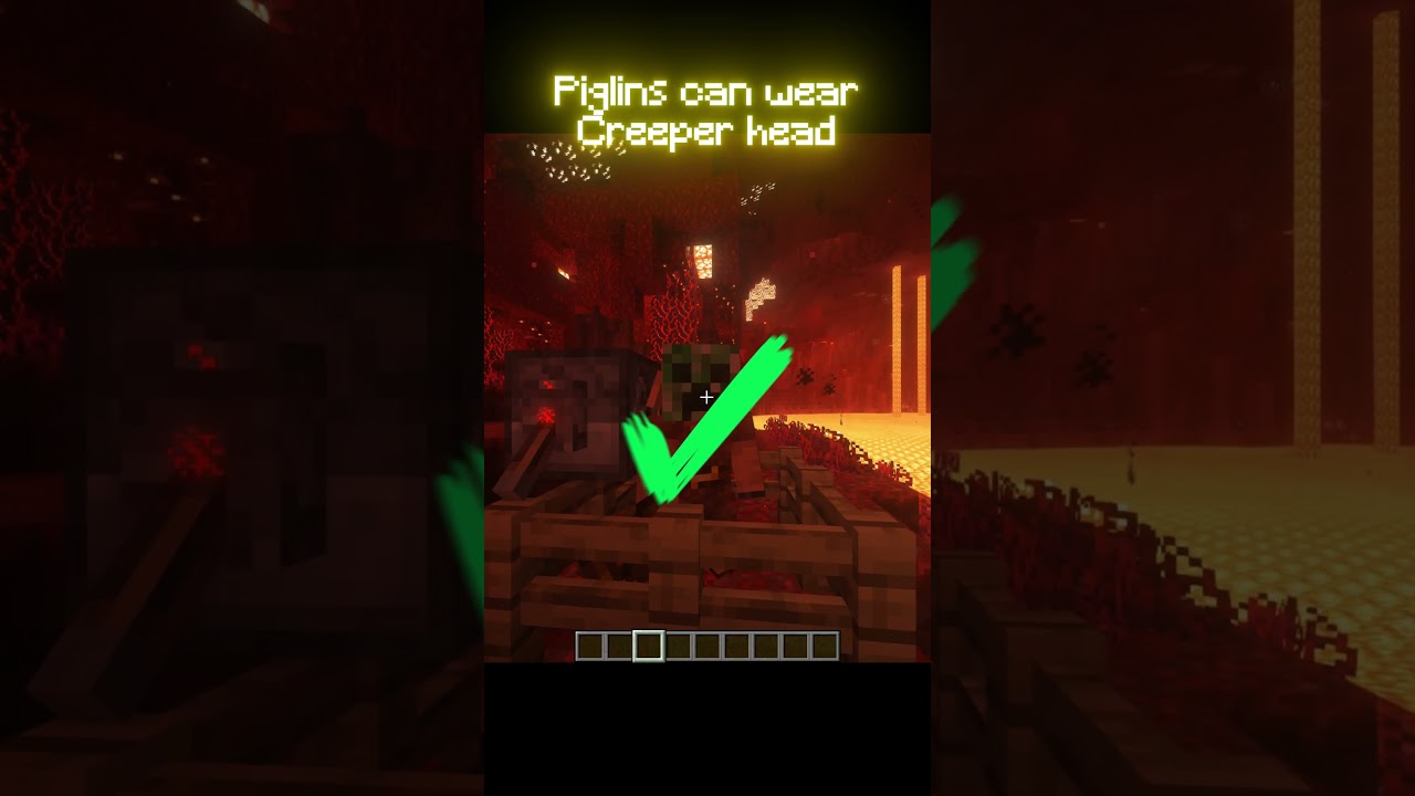 Minecraft True or False 3🧐  