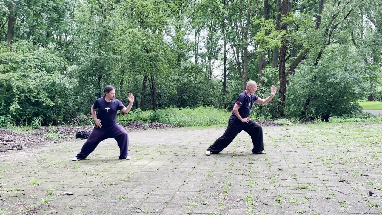 Wudang Taiji 36 Jing Jian