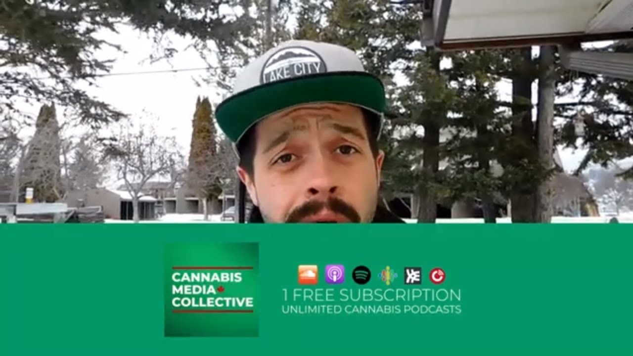 BIG NEWS - Cannabis Media Collective