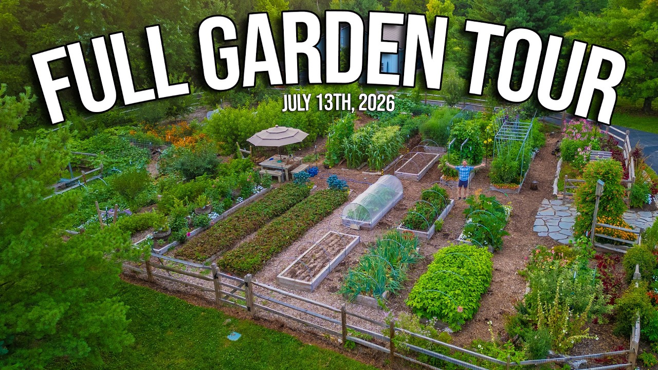 Our Complete Mid-Summer Garden Tour 2026