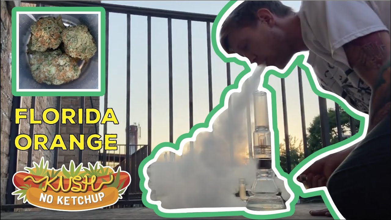 Florida Orange Strain Review | KUSH NO KETCHUP
