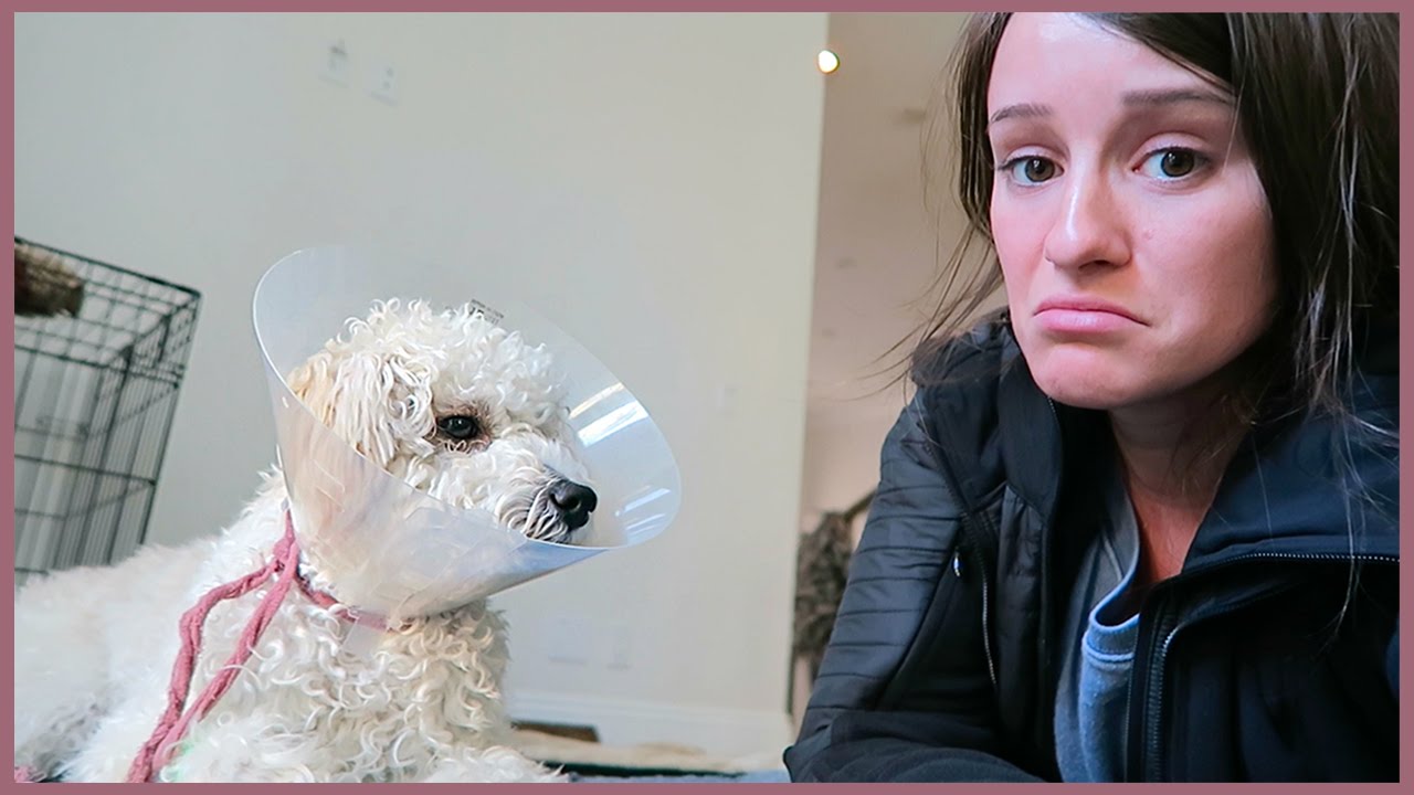 MATTY'S BIG SURGERY!