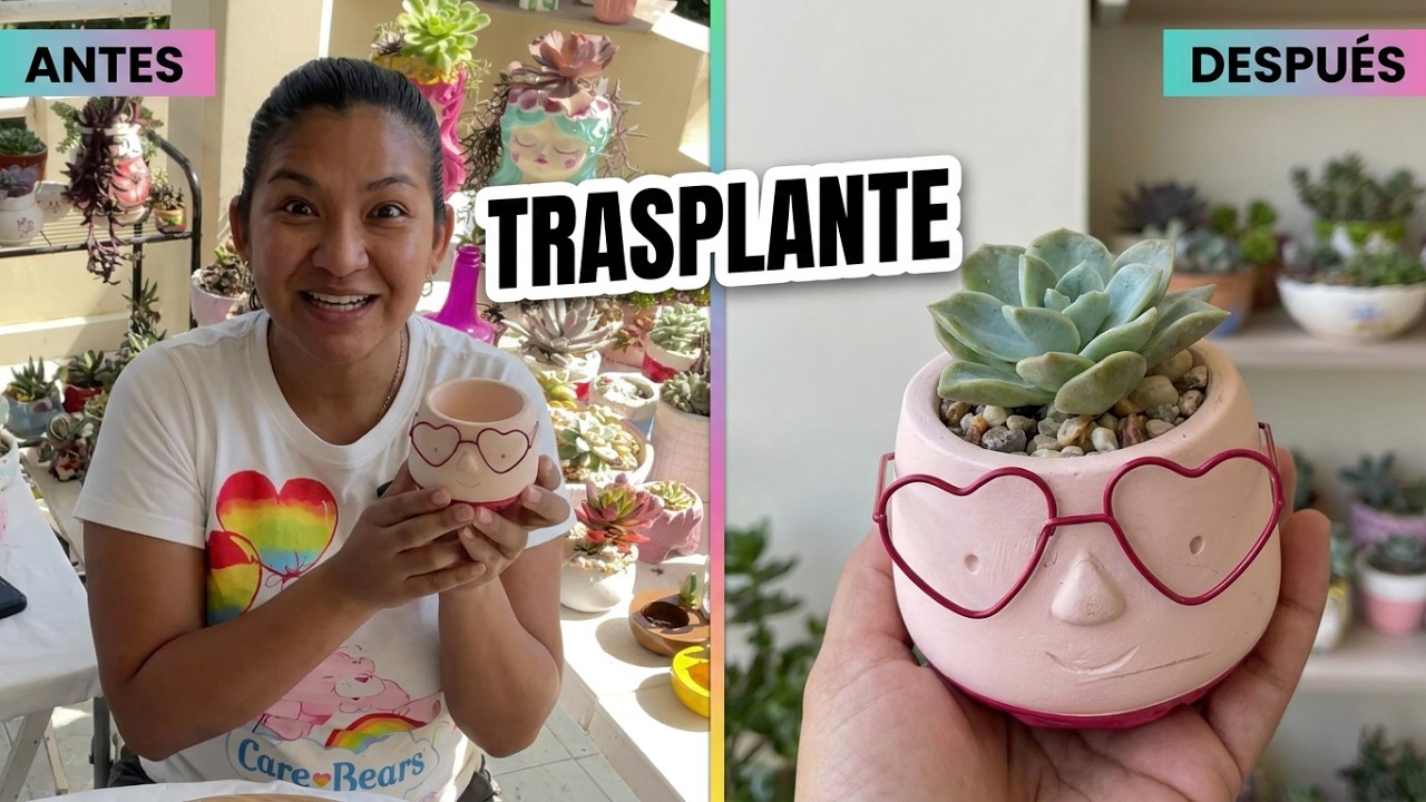 MACETAS DE PRICHOS SAN VALENTÍN 💝 + TRASPLANTE 