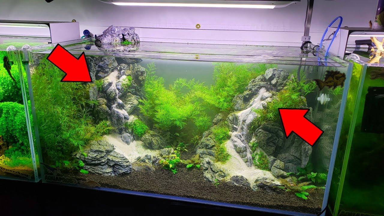 Live Action SAND WATERFALL AQUARIUM Finally Looking Good!