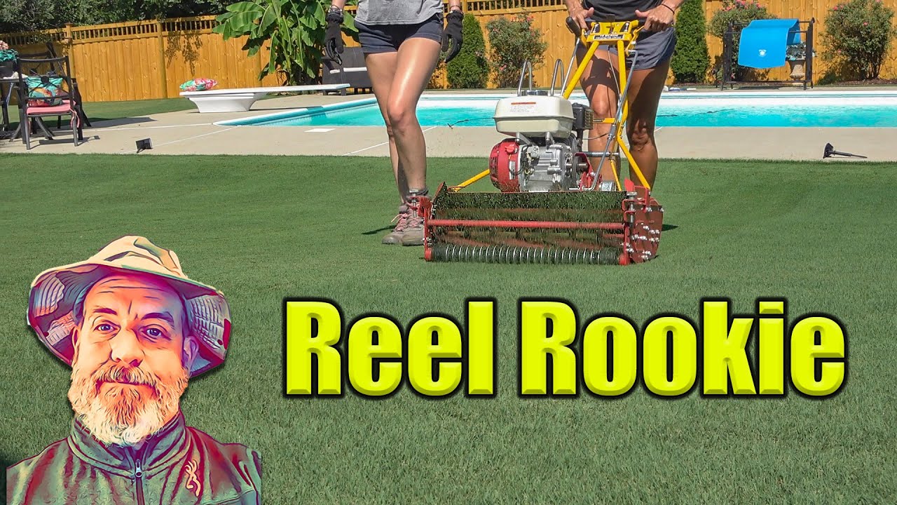 Reel Mowing Bermuda Lawn - First Time Reel Mowing