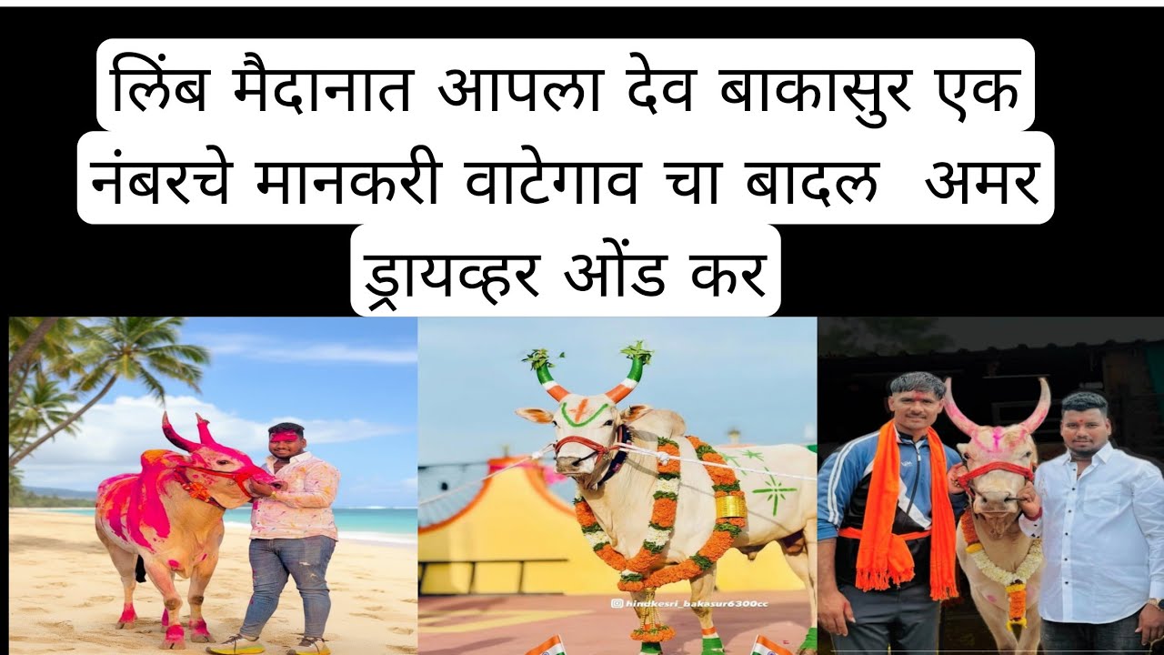 बघा व्हिडिओ अतिशय जबरदस्त