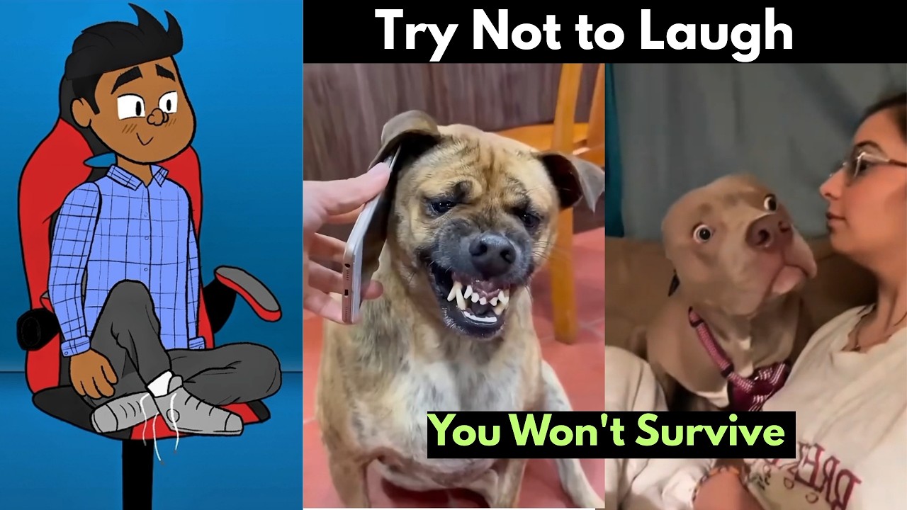 You Won’t Survive This Try Not To Laugh Impossible Challenge | Funniest Viral Videos | Only 1% Pass