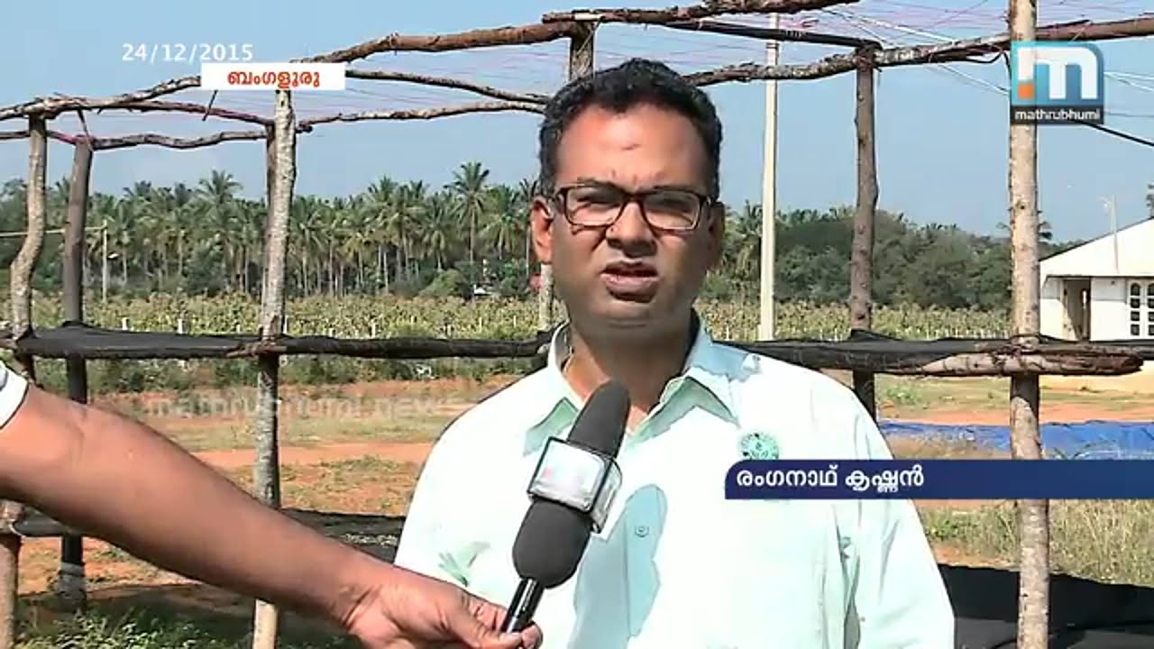 Stevia World Featured On Mathrubhumi News