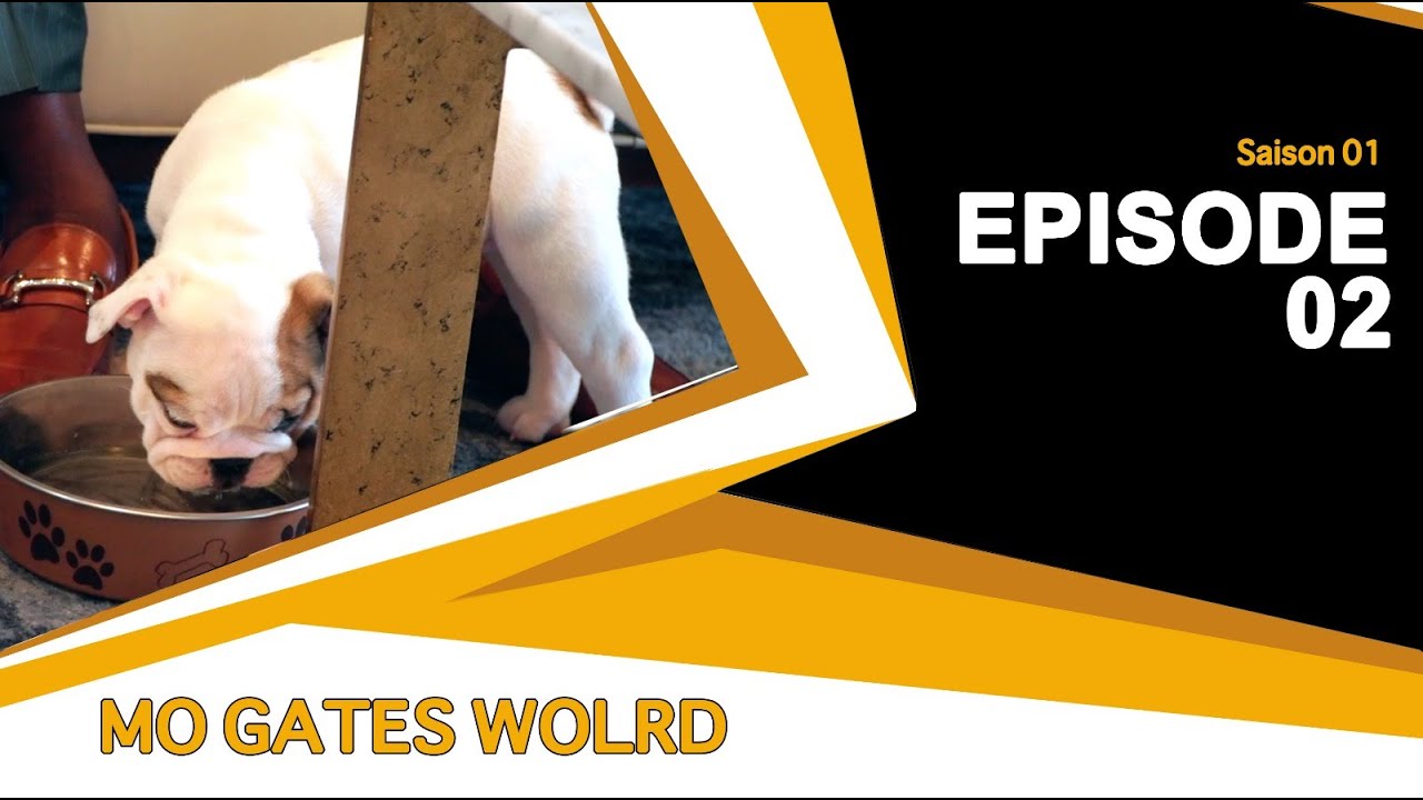 MO GATES WORLD SEASON 1 | EPISODE 2