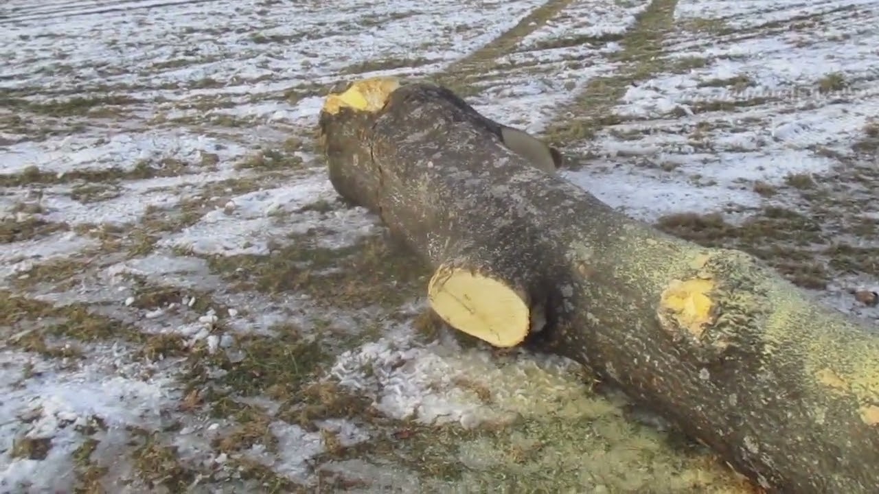 Tire valve stem tool  Cutting a real nasty firewood log ,and more