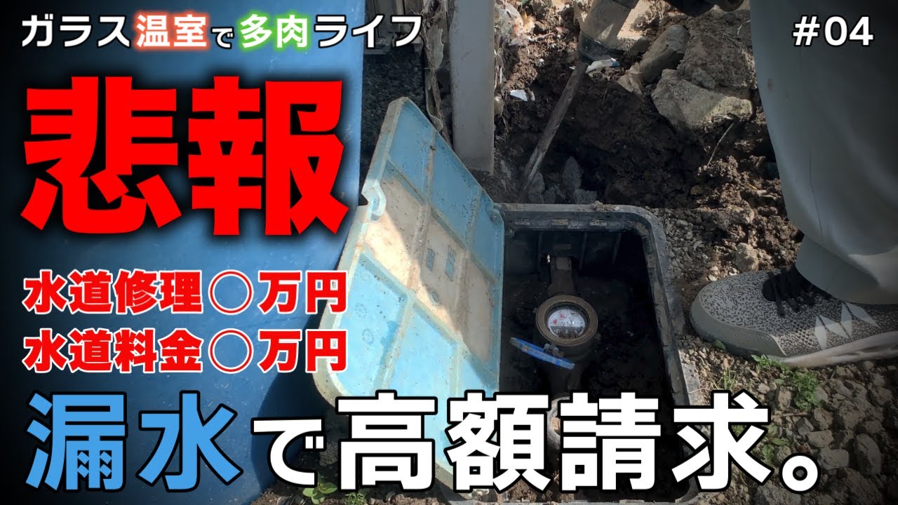 【悲報】1回の水やりで⚪︎万円⁈水道代の請求額がヤバすぎる   【漏水】＃04