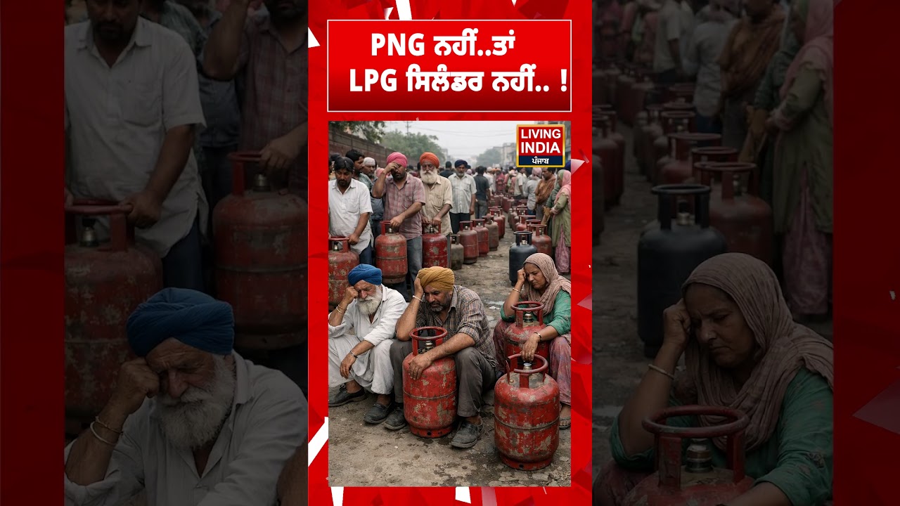 PNG ਨਹੀਂ..ਤਾਂ LPG ਸਿਲੰਡਰ ਨਹੀਂ ! LPG Gas Cylinder | Central Government | #shorts
