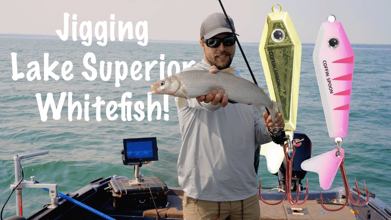 Jigging Open Water Lake Superior Whitefish!