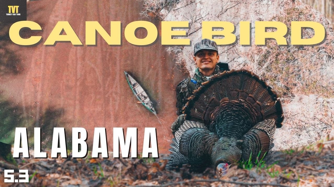 4 GOBBLERS down the BARREL!  - Hunting Turkeys from a CANOE - TVT5.3