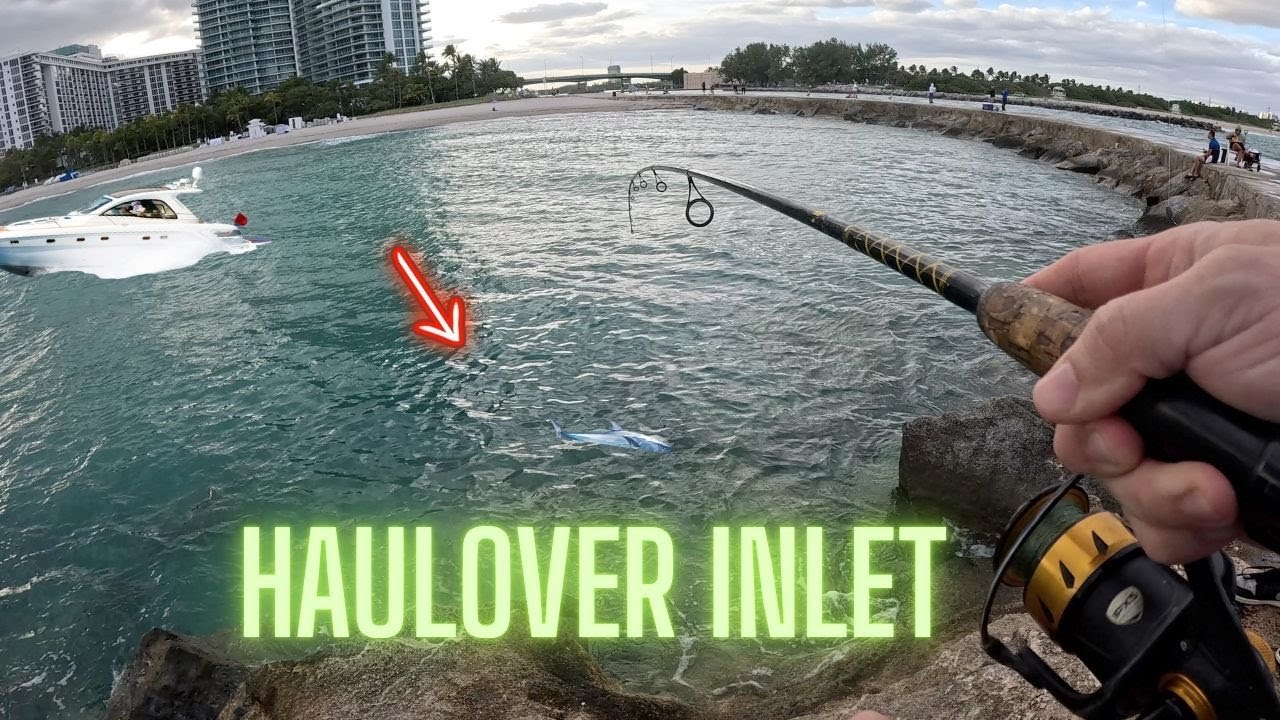 Действительно ли Haulover Fishing стоит шумихи?
