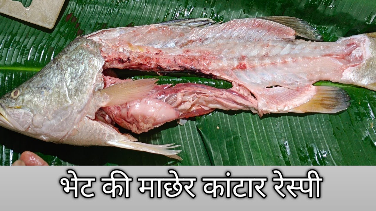 भेटकी मछली का कांटा की रेस्पी ll  Bhetki Fish Kata Recipe || Chunnu Mondal Recipes