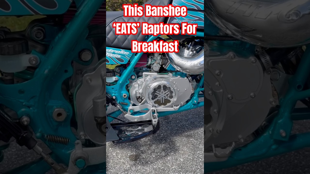 Every Mod You Need for Your Banshee | 2-stroke #shortsfeed #yamaha #bikelife