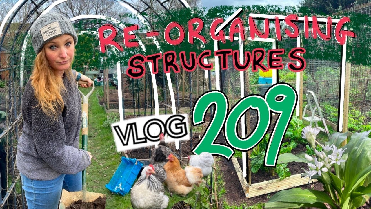 A couple of days of Allotment Action!! Ep209 || Plot 37