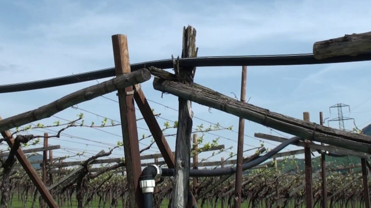 Sudtirolo- Altopiano del Renon- Bolzano.