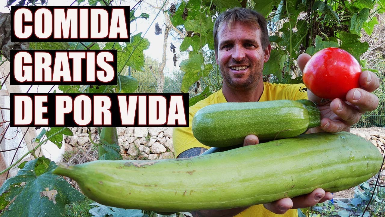 COMIDA GRATIS |  HUERTA DE INVIERNO TRUCOS Y CONSEJOS