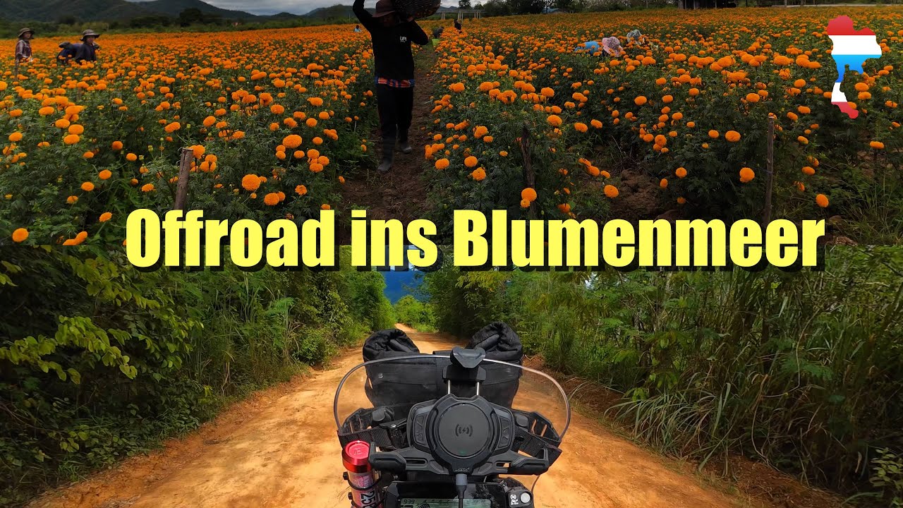 Honda CRF 300 Rally Offroad Tour 🌼 Staudamm, Blumenmeer & ein unerwarteter Ausrutscher