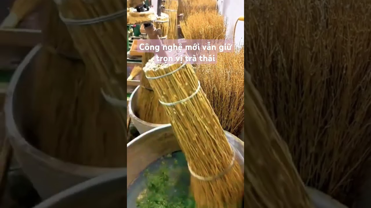 Tr&agrave; Th&aacute;i Nguy&ecirc;n #traxanh#thai #trauong#thainguyen #suckhoe